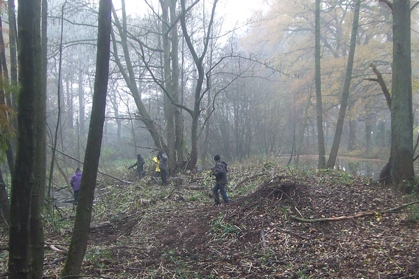 Naturschutzmaßnahme am Waldhausteich