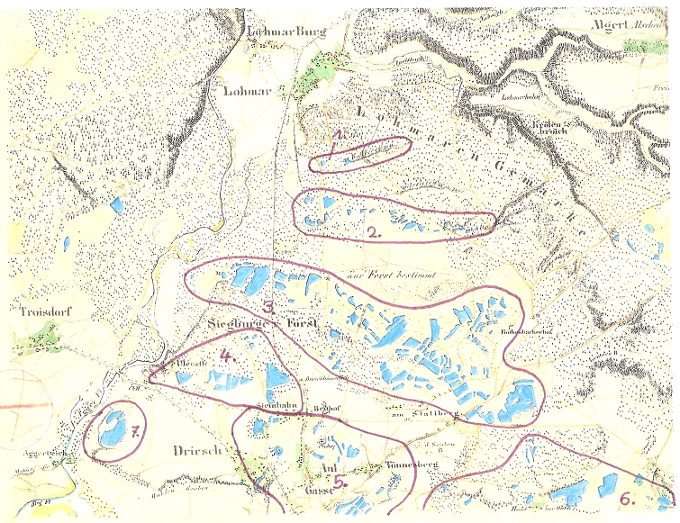 Ausschnitt aus preußischer Uraufnahme von 1845