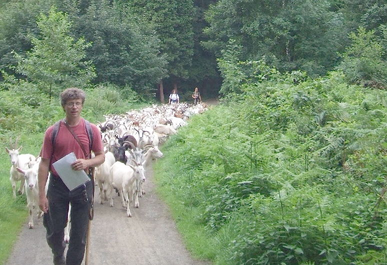 Ziegentrift im Tiefenbruch 2009