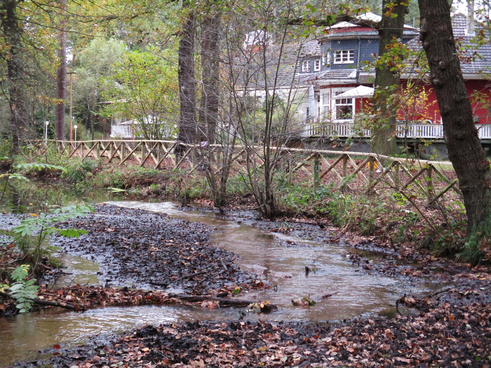 Blick über den in die Verlandungszons strömenden Kurtenwaldbach auf den neuen Zaun