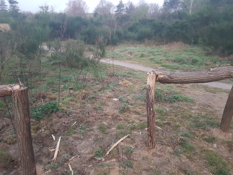 Illegaler Trampelpfad in der Dellbrücker Heide, das Absperrgeländer wurde mutwillig beschädigt
