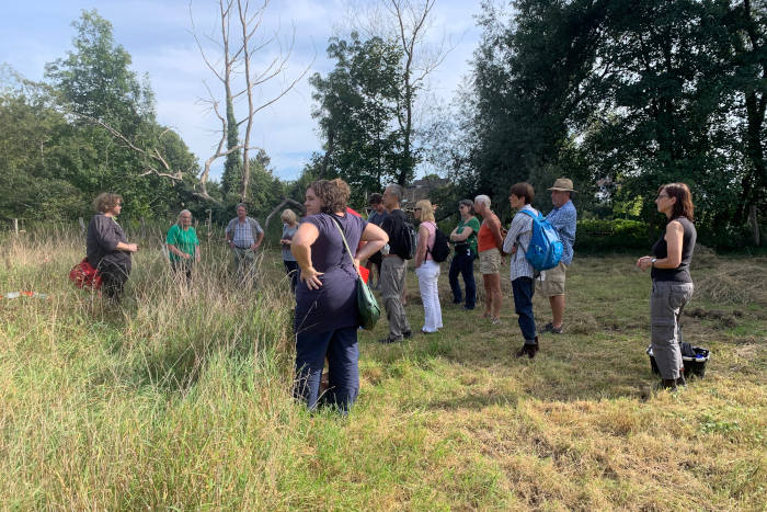 Botanische Exkursion auf der Strundewiese