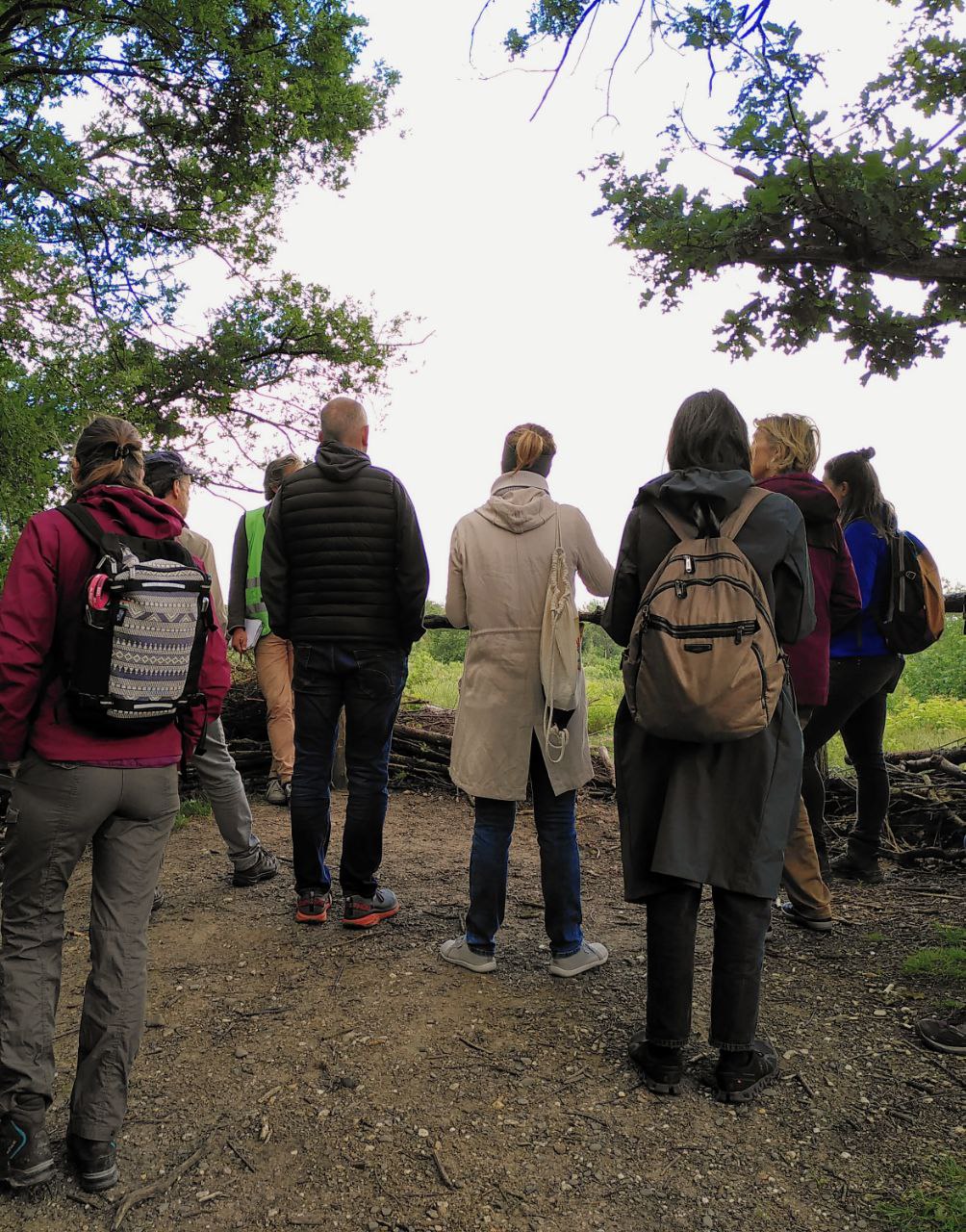 Vogelstimmenexkursion in der Dellbrücker Heide