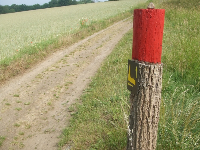 Wanderwegsmarkierung mit Rundwanderwegszeichen der Altenrath-Tour