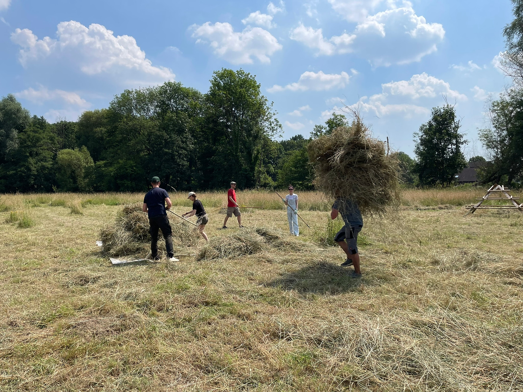 Social Day auf der Strundewiese: Team Sinopsis