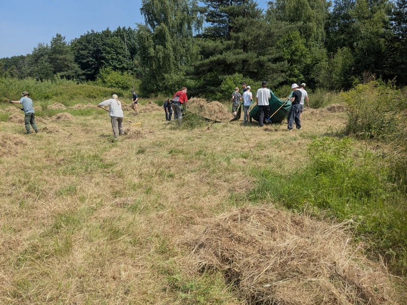 Dellbrücker Heide