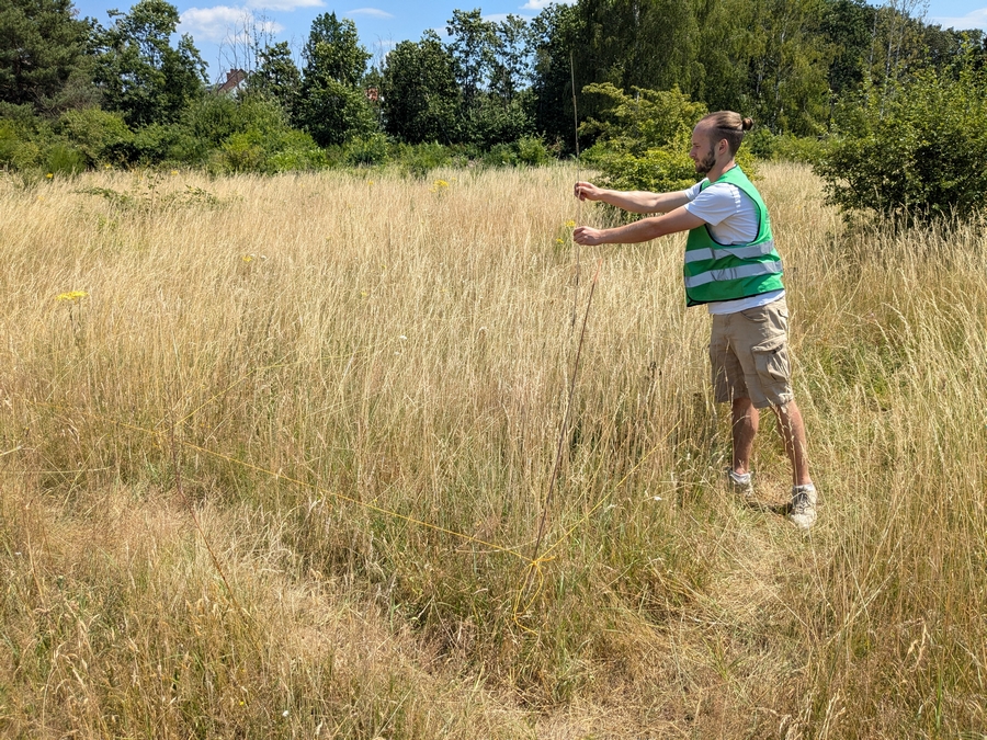 Dellbrücker Heide
