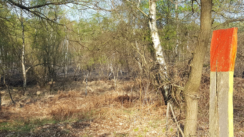Foto vom letzten größeren Heidebrand 2017