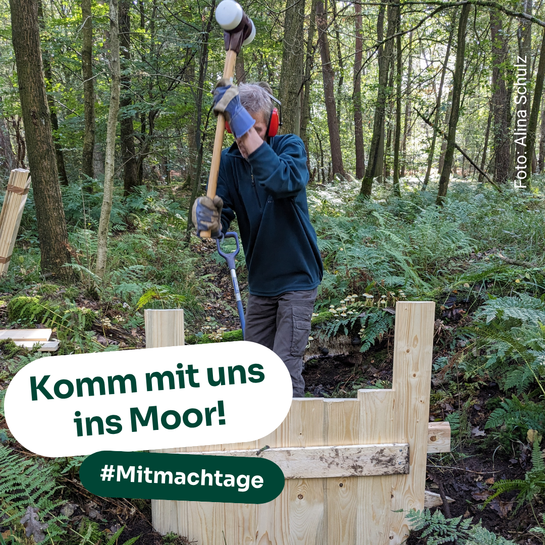 Grabenverschluss