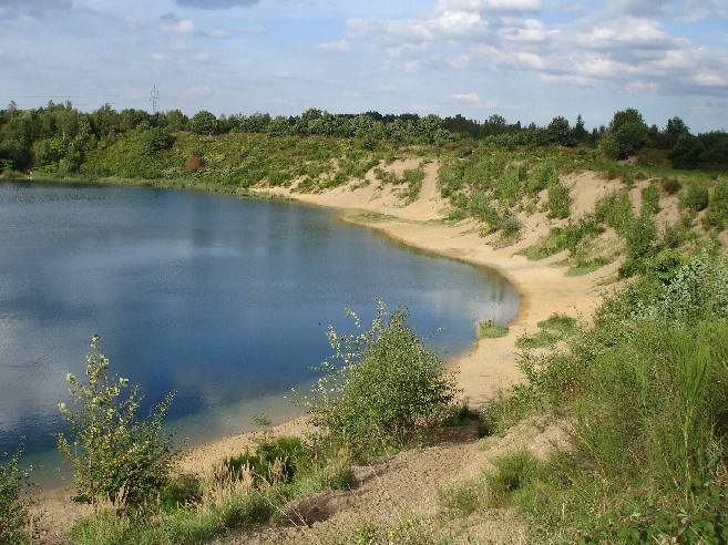 Die Dellbrucker Heide Veranstaltung Dellbrucker Heide Thurner