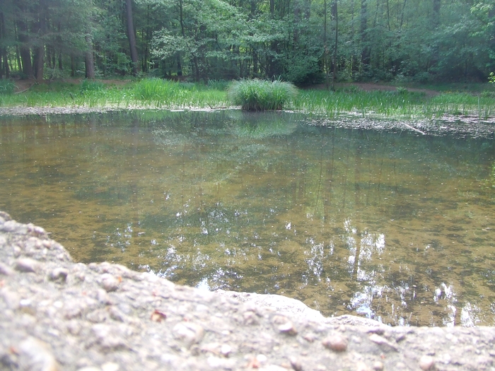 Teiche in der Schluchter Heide