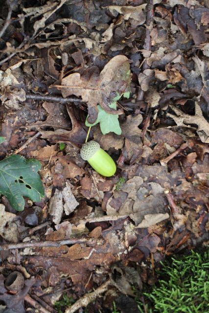 Herbstzeit