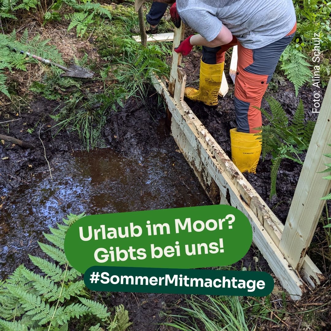 Grabenverschluss